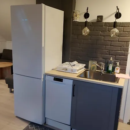 公寓 Arctic Skyview Retreat In - With Parking 特罗姆瑟